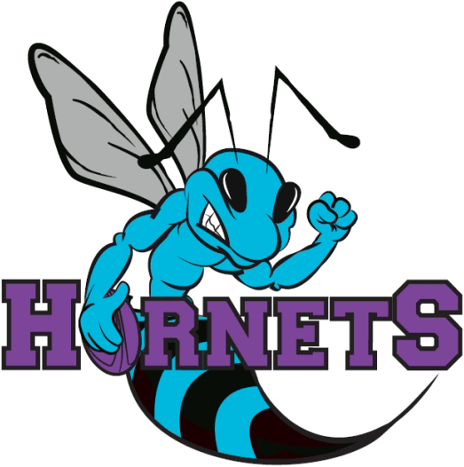 Hornets Champs off